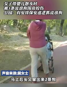 女子带婴儿公园散步被流浪狗咬伤