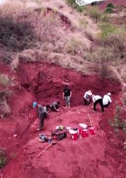 8米长巨型禄丰龙化石在恐龙化石之乡被发现