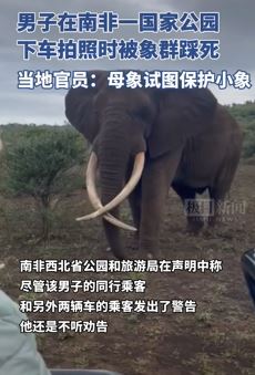 游客在野生动物园不听劝下车拍照被象群踩死