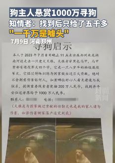 郑州一狗主人悬赏千万寻狗 知情者称找到后只给了5000多