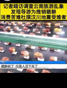 云南导游强制游客消费乱象调查