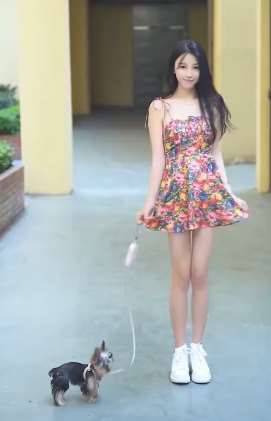 网红美女Amazing甜甜遛约克夏犬 网友：那狗真幸福！