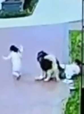 东莞一小孩抚摸宠物犬被撕咬 狗主人拉都拉不住
