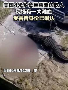 美国一4米多长巨鳄路边吃人 受害者是名41岁女性
