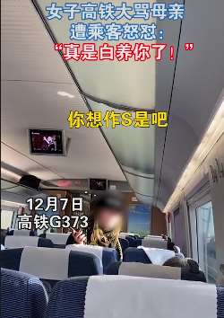 女子高铁上大骂母亲遭乘客怒怼