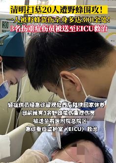 广西百色20人扫墓遭野蜂围攻 3人重伤