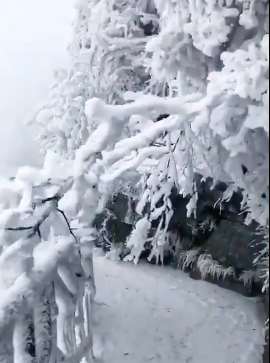 张家界天门山美丽雪景
