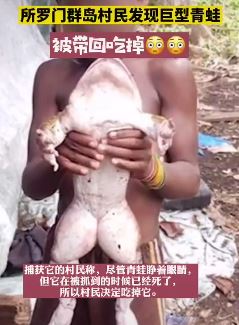 村民发现巨型青蛙  体型像人类婴儿