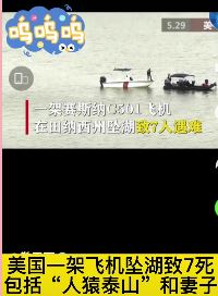 美国一架飞机坠湖致7死 包括《人猿泰山》演员及其妻子