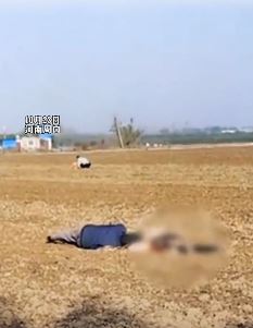 河南周口一老人疑捡花生时被卷入收割机身亡