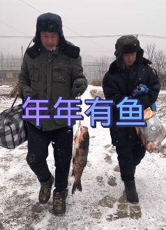 张同学新更作品:年年有鱼!这做鱼的水平不错,二涛太有口福了!