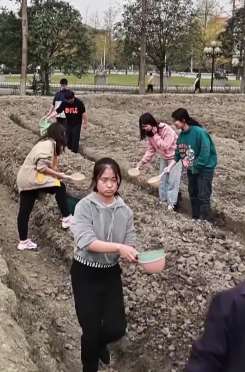 四川一大学将种田纳入必修课，种好地才能毕业