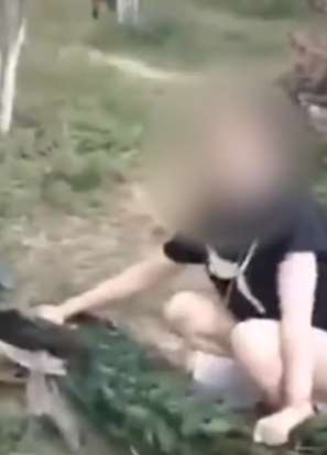 网曝云南野生动物园游客强抓孔雀拍照 还拨孔雀羽毛给孩子玩