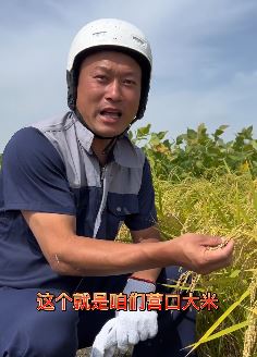 张同学抖音新更:渔米之乡,营口大米到丰收季,张同学忙着收大米!