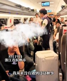 高铁上行李箱从架子上滑落砸中女乘客崩溃大哭