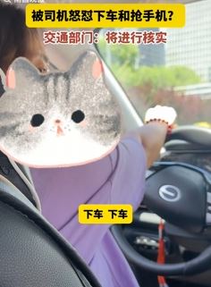 乘客打网约车因未说手机尾号被司机怒怼并赶下车