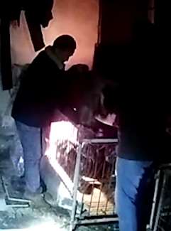 江苏一男子偷盗13只小母猪帮子还贷被刑拘