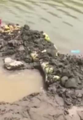 21岁女大学生被害嫌犯系同村男子 曾15岁杀人后搬到这里