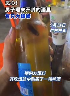 男子曝未开封雪花啤酒里有蟑螂