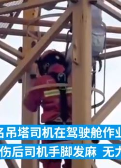 吊塔司机遭马蜂袭击被蜇伤求助消防