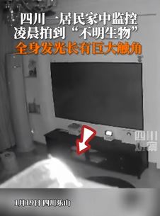 乐山一女子家中监控拍到全身发光的不明生物