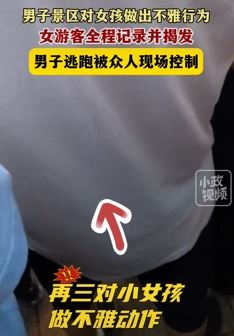 男子景区猥亵女孩后欲逃跑被群众合力控制