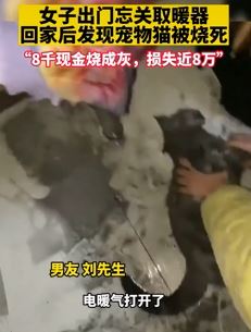 女子出门忘关取暖器 回家发现宠物猫被烧死