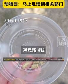 游客曝上海野生动物园喂袋鼠 花30元只给4粒饲料