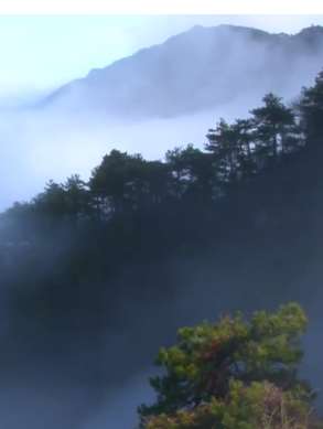 江西庐山现壮观云海景观，如梦如幻似仙境！