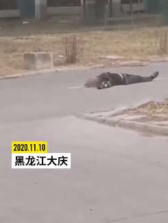 大庆石化公司一男子因工作纠纷持械伤人致3死1伤