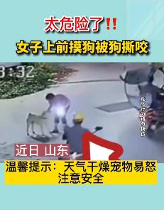监拍：女子上前摸狗被狗撕咬大声呼救