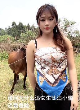 美女搞笑段子:为何追女生比追小偷危险?听听美女怎么说?