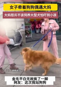 长沙一大妈踢打宠物狗与狗主人起冲突