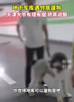 天津大爷劝阻邻居地下车库遛狗 主打以德服人