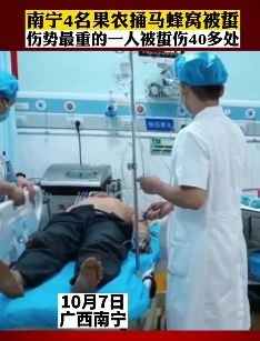 南宁4果农不小心捅马蜂窝被蜇伤