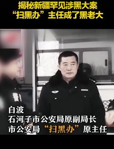 新疆罕见涉黑大案解密 "扫黑办"主任成了黑老大