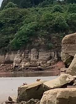 唐代16米高坐佛50年后重见天日