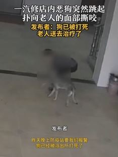 湖南平江一汽修店内恶犬扑咬老人后被打死