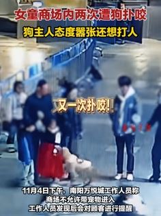 网曝河南南阳一女童商场内遭狗扑咬 狗主人态度嚣张还想打人