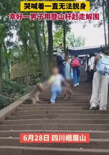 峨眉山景区一男孩被几只猴子拉扯衣裤哭喊无法脱身