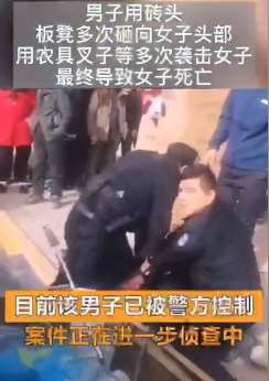 男子开车撞人后当街砸死妻子