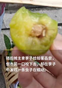 街头商贩低价售卖蜂糖李 市民品尝吃出活虫