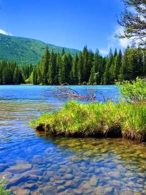 新疆喀纳斯湖美景，据说到这旅游过的人都不想再回去！