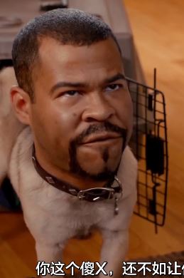 搞笑反转短片：黑人兄弟和狗狗的那些事