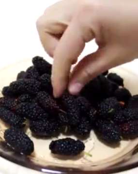 清洗桑葚三步走，这样才能放心吃！