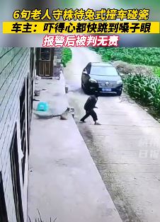 四川泸州一老人守株待兔式撞车碰瓷吓坏车主