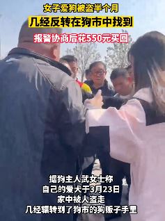 女子爱狗被盗后在狗市找到 花550元买回