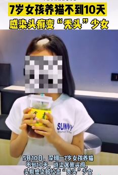 7岁女孩养猫10天成"秃头"