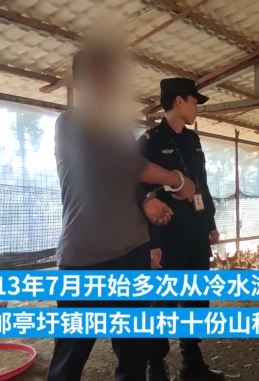 湖南零陵4人多次到养殖场偷300多只鸡被抓