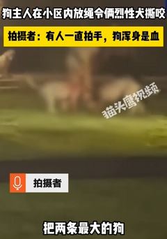 武汉一小区有人挑逗烈性犬相互撕咬打架